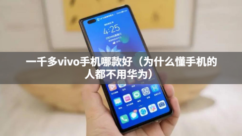 一千多vivo手机哪款好（为什么懂手机的人都不用华为）