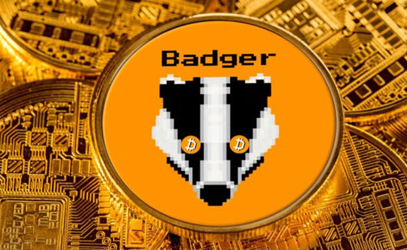 BADGER币有潜力吗?BADGER币未来能涨到多少钱？