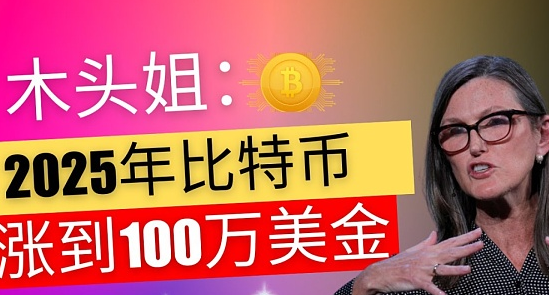 木头姐：BTC将达到100万美金