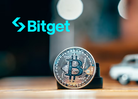 Bitget交易所充值错误怎么办