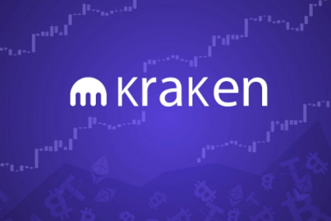 如何在Kraken Pro存入法币