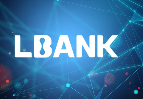 如何安装LBank