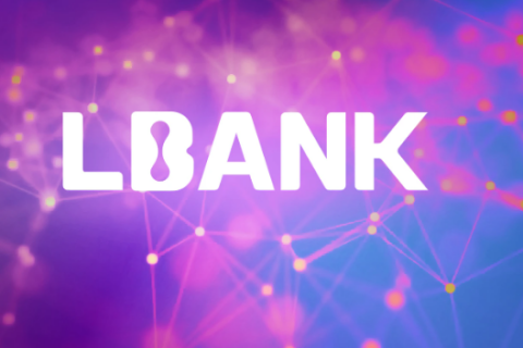 LBank如何完成身份验证