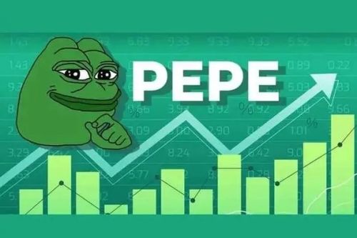 Pepe Coin富豪榜出炉报告了前100名携带PEPE硬币数量最多的地址