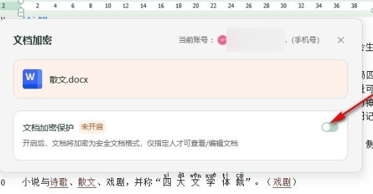 WPS文档如何设置加密保护